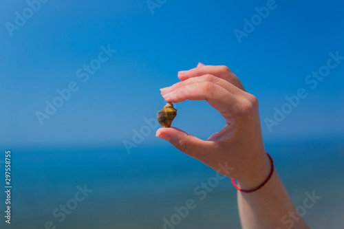 Shell in female fingers on a background of blue sky