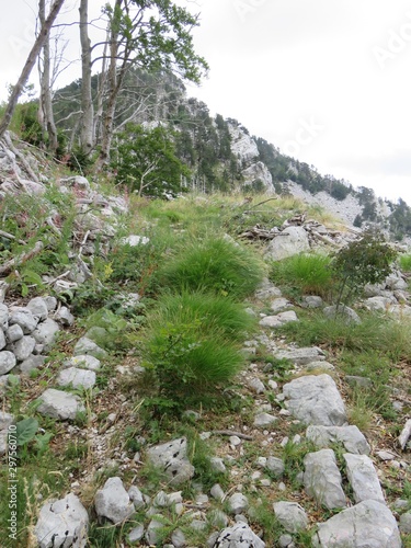 Mountain Orjen Montenegro ruined stone hiking trail built by Austrohungarian army for their emperor Rudolph II photo
