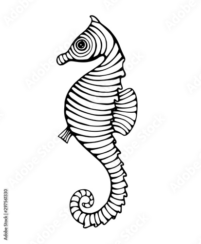 vintage hand drawn line art seahorse engraved
