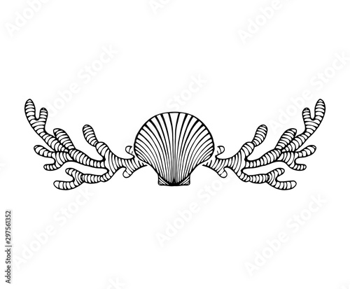 vintage hand drawn line art shell and coral engraved
