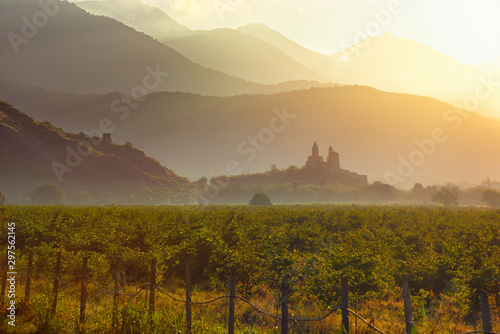 Scenic view of vineyards in the Kakheti region at sunrise against the background of the historic fortress of Gremi, country Georgia