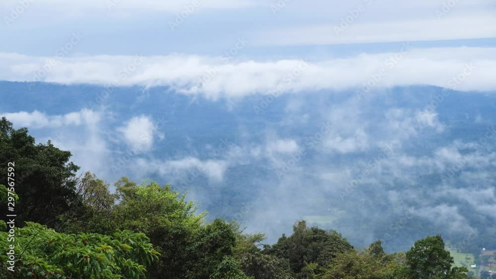 Foggy Landscape in a South Indian rain forest Foggy Landscape in a South Indian rain forest