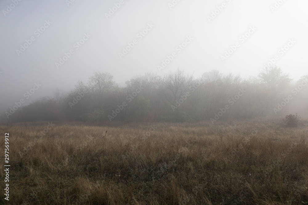 Autumn landscape. Dew on the grass. Sunrise