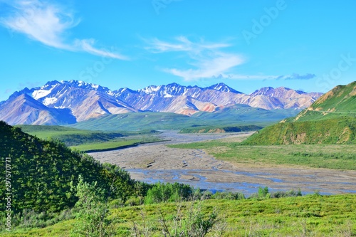Denali National Park - Alaska  © OanaG