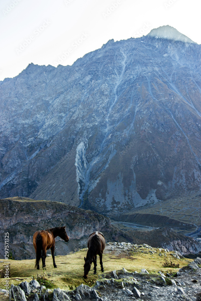  mountain landscape with horses