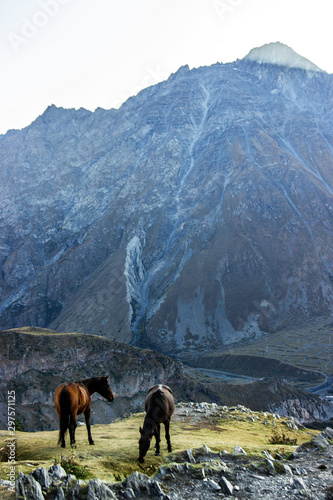  mountain landscape with horses © Stetsenko_Iana