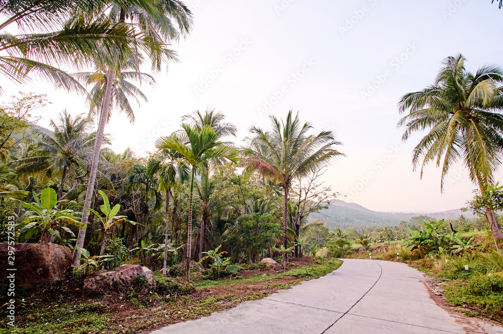 Simple stone road in rural part of Samui.