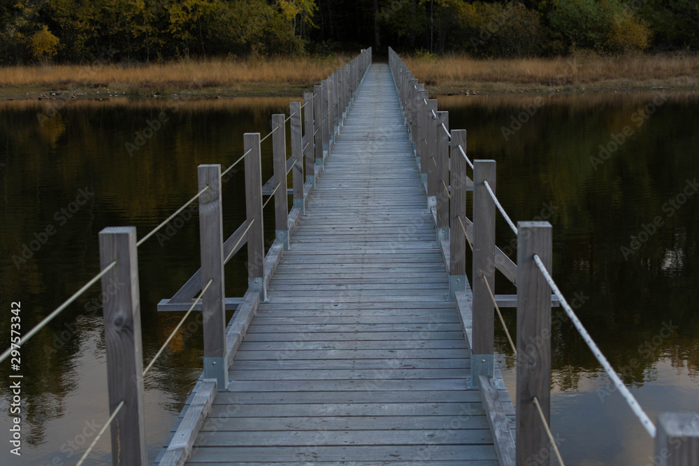 Fototapeta premium bridge in the middle of nature