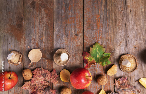 Cardoncelli mashrooms, apples, walnuts and colorful leaves on old rustic wooden boards. Autumn Thanksgiving day background, copy space