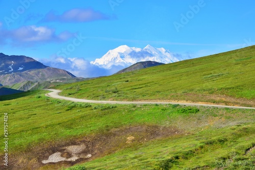 Road to Denali Mountain - Alaska 