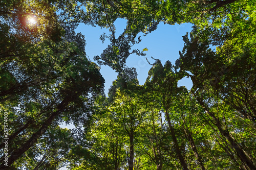 Concept for Environmental Conservation