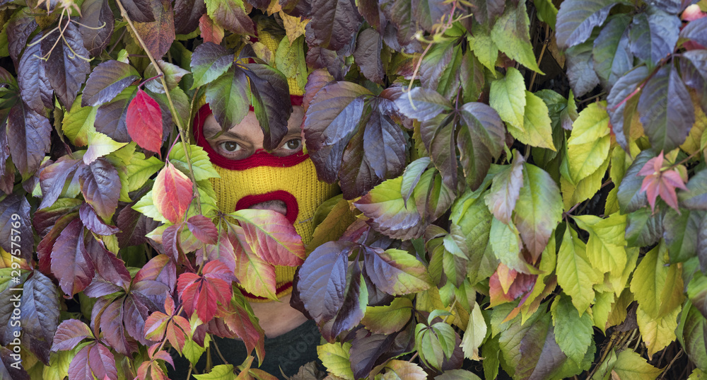 Fotografie man is watching from the leaves