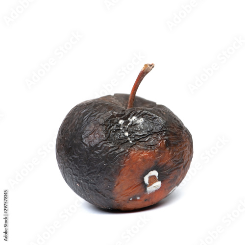 One very rotten apple
