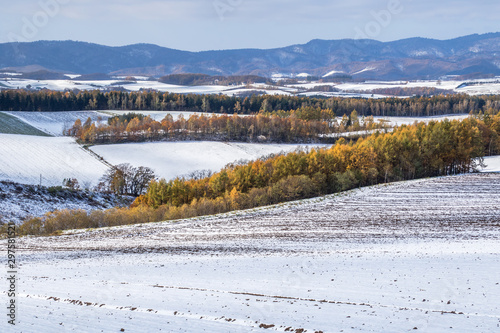 北海道の雄大な風景