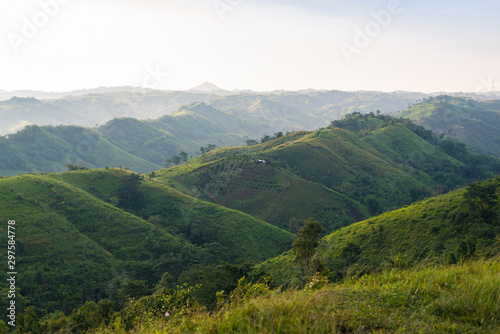 Mountain in the morning, fresh air, Covered with green fields.