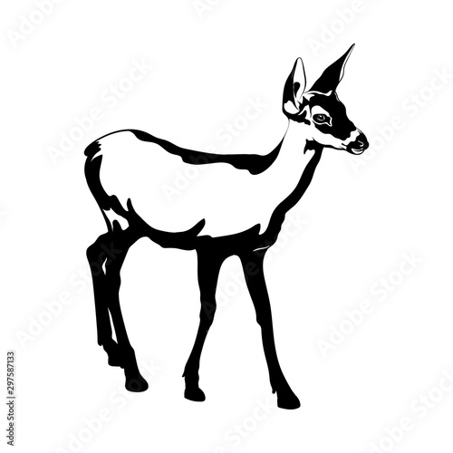 Vector hand drawn illustration of fawn isolated. Creative tattoo artwork. Template for card, poster, banner, print for t-shirt, pin, badge, patch.