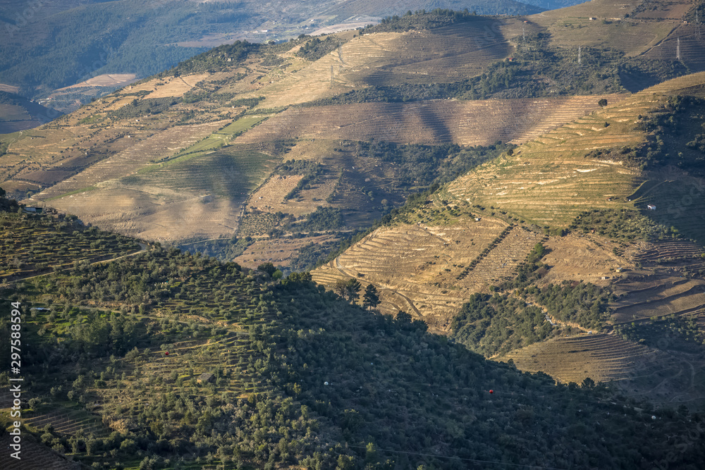 Typical view of the mountainous banks of the Douro river with vineyards producing typical Douro grapes