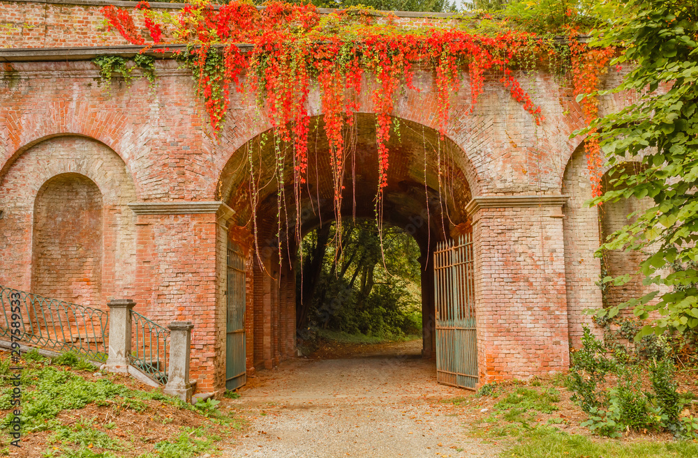 Fototapeta premium the colorful foliage of beech tree adorns a brick arch /an entrance to a park in the fall