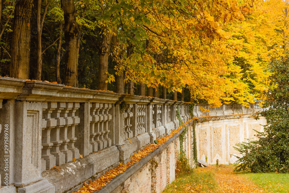 a colorful autumnal underwood /a balcony covered with a colorful foliage a colorful autumnal underwood /a balcony covered with a colorful foliage