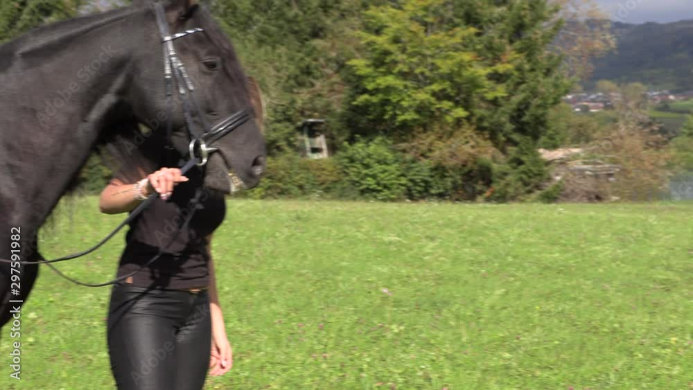 beautiful blonde riding a black horse rides on a flower field Stock Video | Adobe Stock