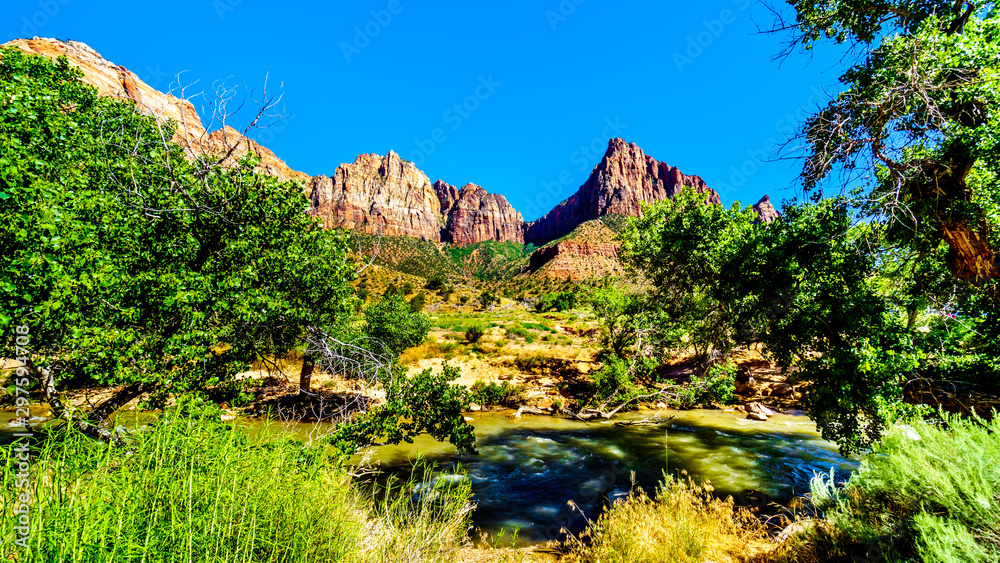 The Massive Red, Pink and Cream Sandstone Cliffs of the Watchman and Bridge Mountain viewed from the Pa'rus Trail as it follows the meandering Virgin River in Zion National Park in Utah, USA