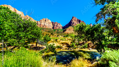 The Massive Red, Pink and Cream Sandstone Cliffs of the Watchman and Bridge Mountain viewed from the Pa'rus Trail as it follows the meandering Virgin River in Zion National Park in Utah, USA