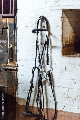 Old stable, leather harness hanging next to the stall