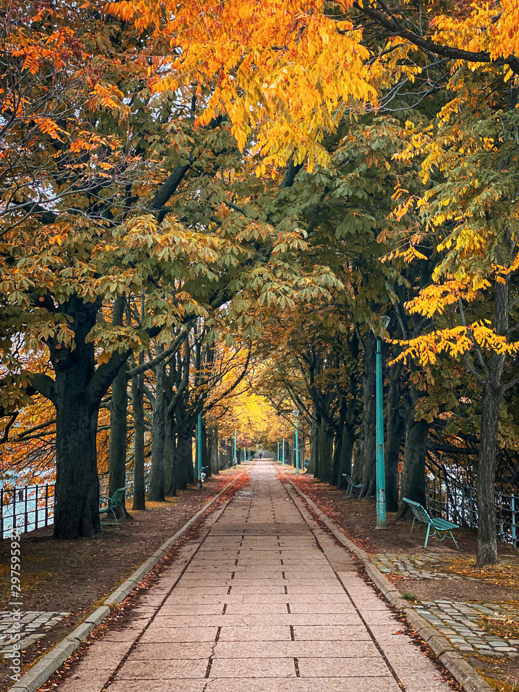 Shot of the Ile aux Cygnes, isle of the Swans, in Paris France on an autumn day, with green yellow and orange fall leaves on the trees and buildings of Beaugrenelle