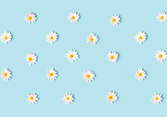 Fabric daisy flower polka dot pattern on pastel blue background