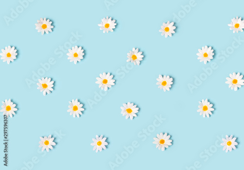 Fabric daisy flower polka dot pattern on pastel blue background