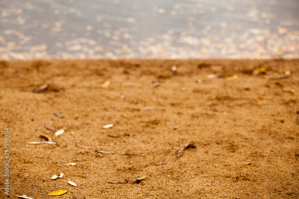 beach sand autumn leaf background beach sand autumn leaf background