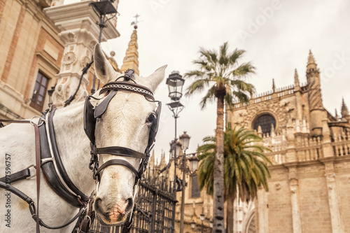 The Unicorn of Sevilla, Spain