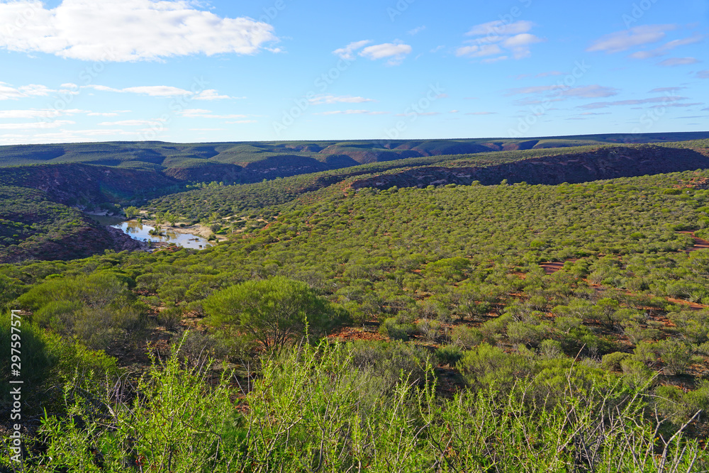 View of the Murchison River gorge in Kalbarri National Park in the Mid West region of Western Australia.