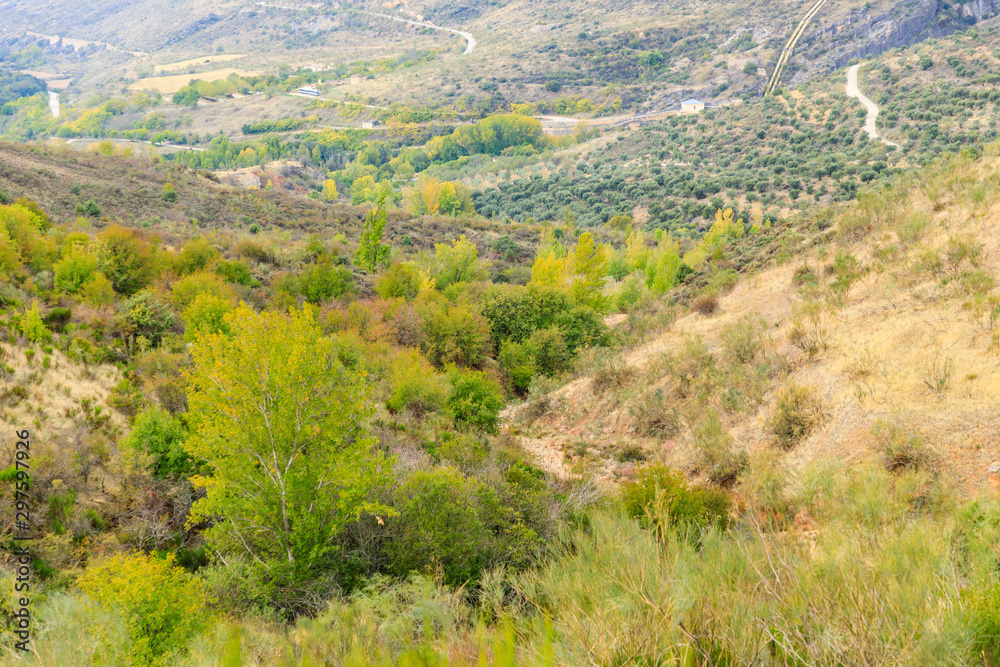 First autumn colors in the mountains of Madrid First autumn colors in the mountains of Madrid