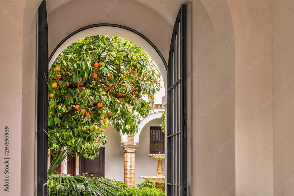 Fototapeta premium Patio przy Calle Agua, Sewilla, Hiszpania