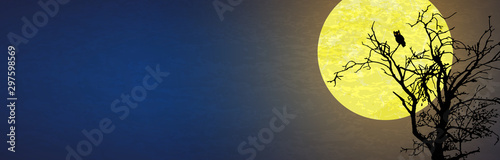 owl in front of moon