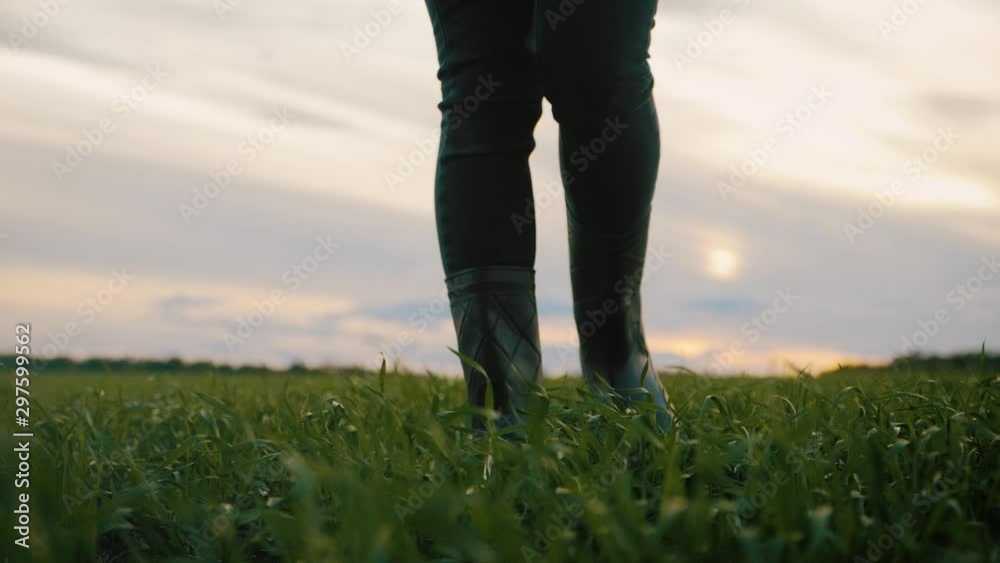 Farmer goes with rubber boots along green field. Rubber boots for work use. A worker go with his rubber boots at sunset time. Concept of agricultural business. Steadicam video. Farmer goes with rubber boots along green field. Rubber boots for work use. A worker go with his rubber boots at sunset time. Concept of agricultural business. Steadicam video.