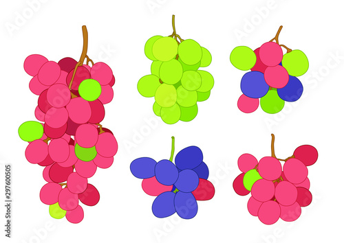 grape currant and raisin fruit fresh on white background  illustration vector  fresh from the beginning 