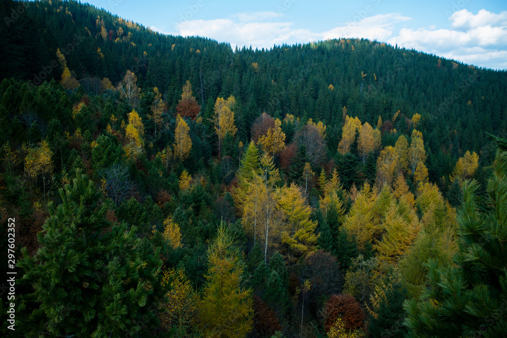 Autumn in the mountains. Green and yellow trees in the hills. Autumn in the mountains. Green and yellow trees in the hills.