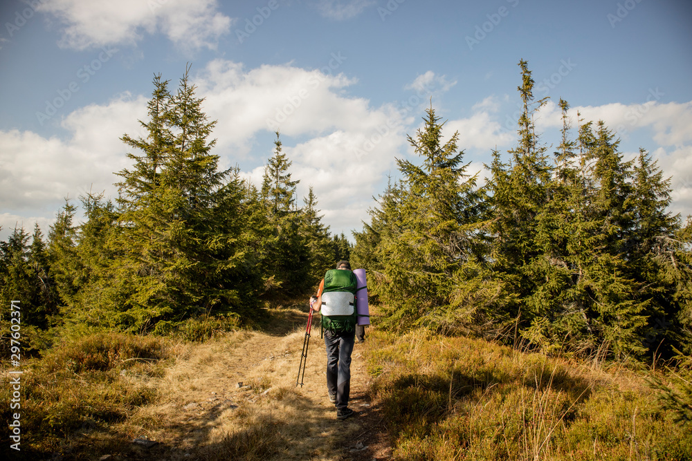 Young man walking in the forest. Autumn forest. Mountain firtree Young man walking in the forest. Autumn forest. Mountain firtree