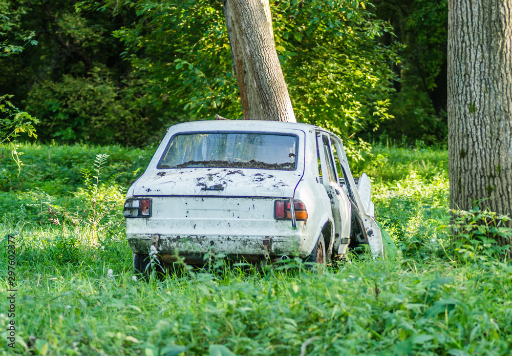 Novi Sad, Serbia - September 29. 2019: The old forest with poplar trees. Repair old cars thrown in the woods. Novi Sad, Serbia - September 29. 2019: The old forest with poplar trees. Repair old cars thrown in the woods.