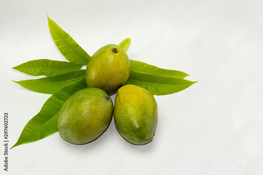 Obraz premium mango isolated on white background