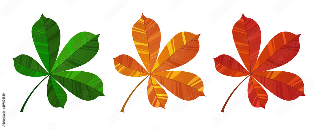 Obraz premium Set of colorful autumn chestnut leaf vector. Red, green and brown isolated on white background.