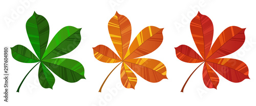 Set of colorful autumn chestnut leaf vector. Red, green and brown isolated on white background.