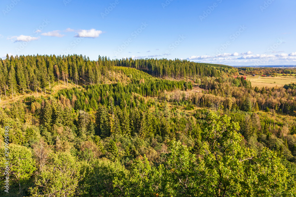 Aerial view over a mixed forest at autumn