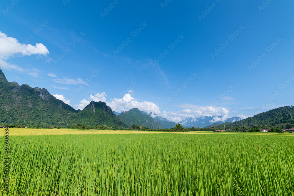 Beautiful Rice Field and Mountains with Clouds Blue Sky in Vang Vieng, Laos