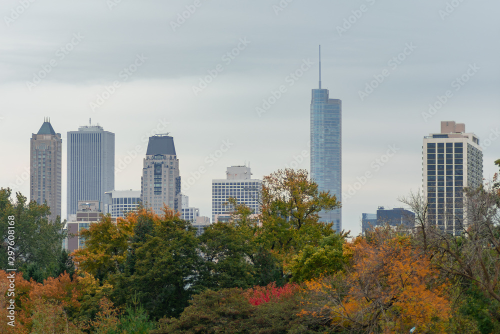 Obraz premium Chicago Skyline seen from Lincoln Park with Colorful Autumn Trees