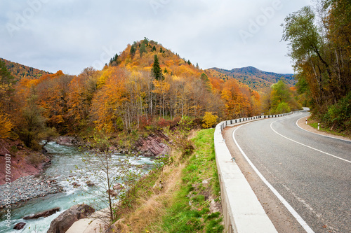 Autumn road in the mountains