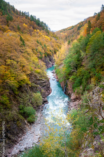 Canyon with river in the mountains in the fall