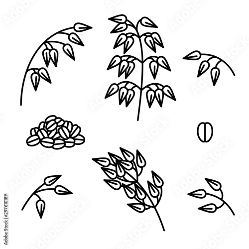 Oats collection set. Collection icon oats. Vector
